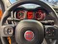 Fiat Panda 4x4 Orange - thumbnail 13
