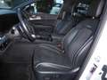 Kia Sportage Sportage 1.6 tgdi 180cv GT-line awd auto Bianco - thumbnail 7