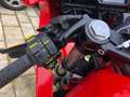 Gilera Saturno 350 Bialbero Rot - thumbnail 4