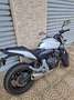 Honda Hornet CB600FA Bianco - thumbnail 5
