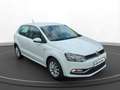 Volkswagen Polo 1.0 Lounge SiHz Wit - thumbnail 12