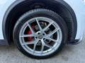 Alfa Romeo Stelvio 2.2 Turbodiesel 210 CV AT8 Q4 Super Bianco - thumbnail 9