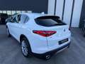 Alfa Romeo Stelvio 2.2 Turbodiesel 210 CV AT8 Q4 Super Bianco - thumbnail 8