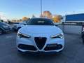 Alfa Romeo Stelvio 2.2 Turbodiesel 210 CV AT8 Q4 Super Bianco - thumbnail 2
