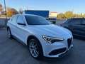 Alfa Romeo Stelvio 2.2 Turbodiesel 210 CV AT8 Q4 Super Bianco - thumbnail 3