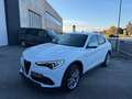 Alfa Romeo Stelvio 2.2 Turbodiesel 210 CV AT8 Q4 Super Bianco - thumbnail 1