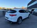 Alfa Romeo Stelvio 2.2 Turbodiesel 210 CV AT8 Q4 Super Bianco - thumbnail 5