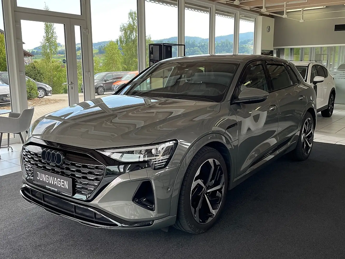 Audi Q8 e-tron Q8 50 e-tron quattro Grau - 1