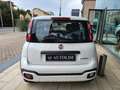 Fiat Panda Panda 1.0 hybrid City Cross 5 Posti Bianco - thumbnail 11