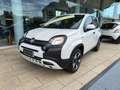 Fiat Panda Panda 1.0 hybrid City Cross 5 Posti Bianco - thumbnail 3