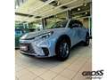 Lexus LBX FWD // Komfortpaket // Technik Grau - thumbnail 8