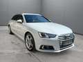 Audi A4 A4 Avant 2,0 TDI quattro S-LINE  S-tronic Sport Weiß - thumbnail 7