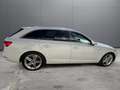 Audi A4 A4 Avant 2,0 TDI quattro S-LINE  S-tronic Sport Weiß - thumbnail 6