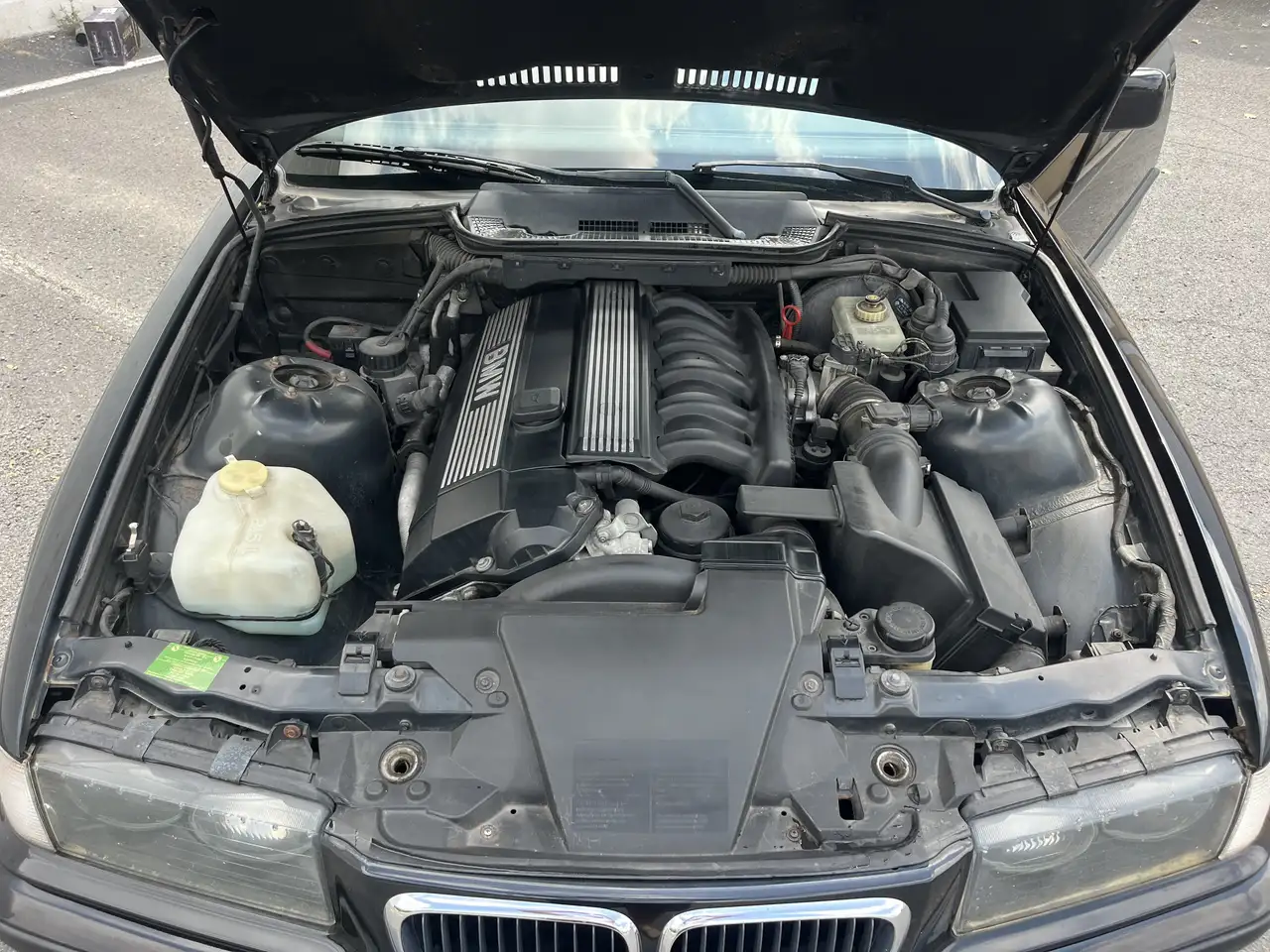 BMW 323i, foto 10