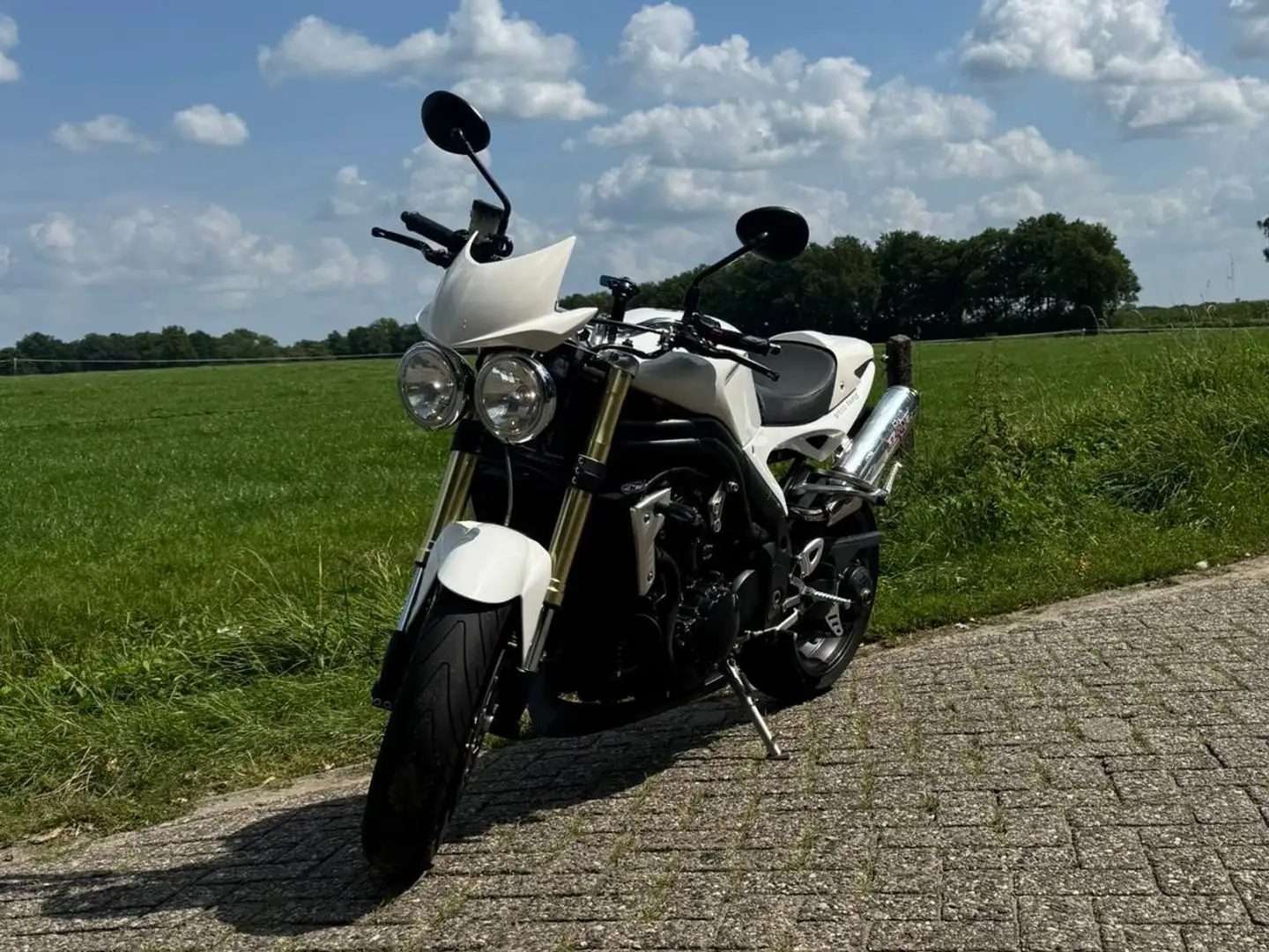 Triumph Speed Triple 1050 Wit - 1