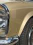 Mercedes-Benz SL 280 Pagode, 100 TKM!, Schalter, Tunisbeige Oro - thumbnail 8