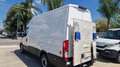 Iveco Daily 35S14 P.3520 H3 CON SPONDA CARICATRICE -2020 Blanc - thumbnail 1