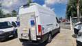 Iveco Daily 35S14 P.3520 H3 CON SPONDA CARICATRICE -2020 Blanc - thumbnail 6