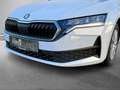 Skoda Octavia Essence TDI Weiß - thumbnail 7