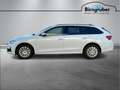 Skoda Octavia Essence TDI Weiß - thumbnail 3