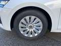 Skoda Octavia Essence TDI Weiß - thumbnail 6