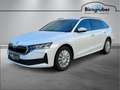 Skoda Octavia Essence TDI Weiß - thumbnail 2
