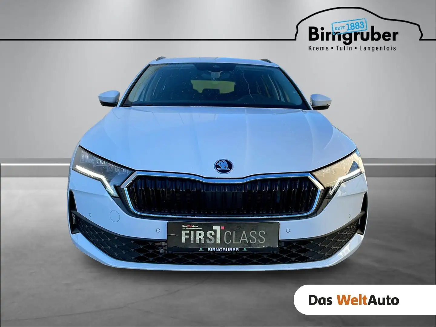 Skoda Octavia Essence TDI Weiß - 1