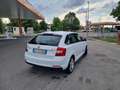 Skoda Rapid/Spaceback Rapid 1.6 tdi cr Ambition 90cv Bianco - thumbnail 4