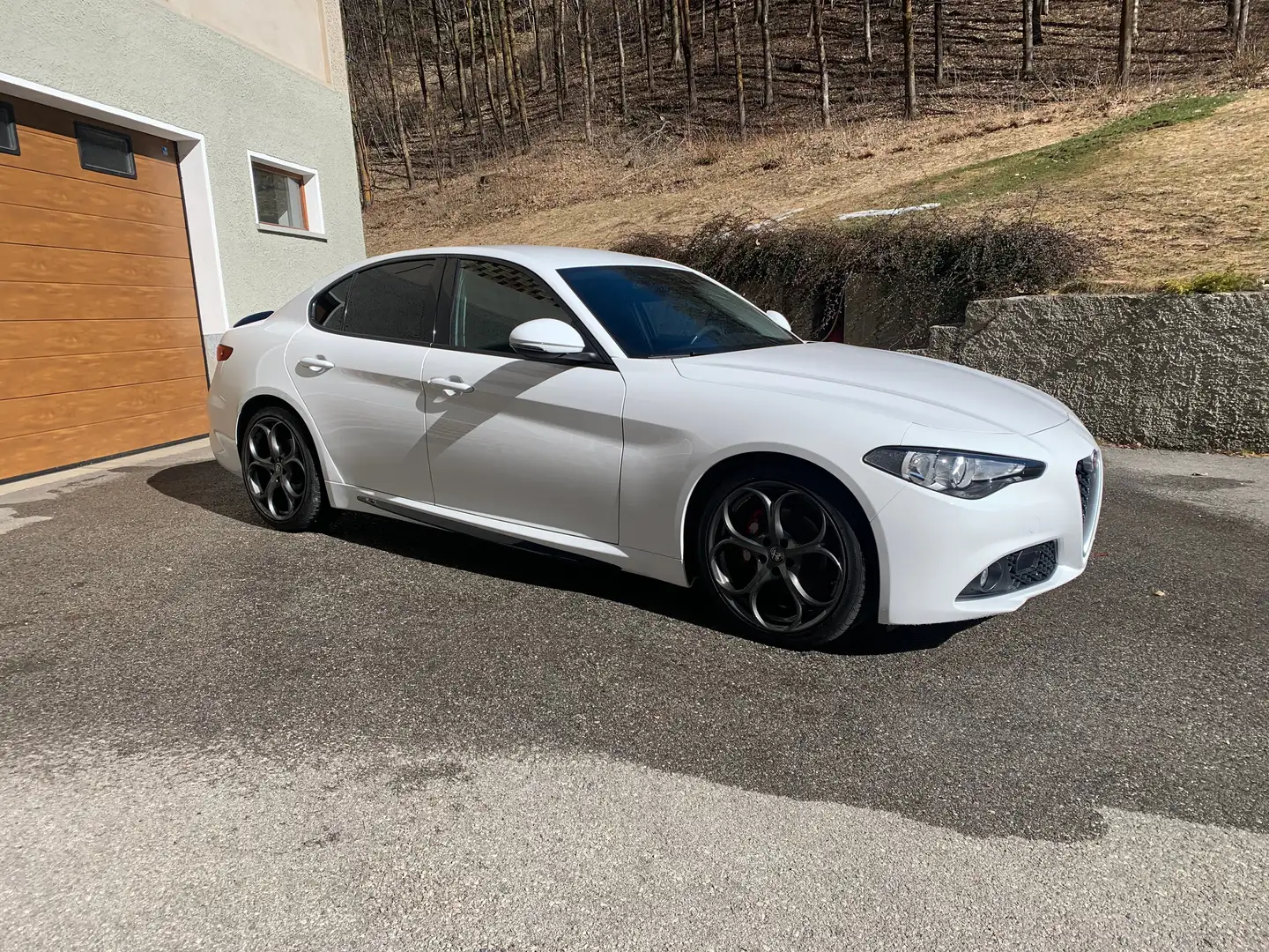Alfa Romeo Giulia Giulia 2.2 t Super 180cv auto Alb - 1