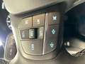 Ford Fiesta Titanium Navigation, Winter-Paket, Fernlichtassist Plateado - thumbnail 19