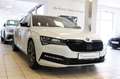 Skoda Superb Sportline 4x4 DCC AHK 360° Pano STHZ ACC Wit - thumbnail 14