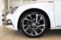 Skoda Superb Sportline 4x4 DCC AHK 360° Pano STHZ ACC Wit - thumbnail 4