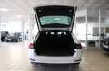 Skoda Superb Sportline 4x4 DCC AHK 360° Pano STHZ ACC Wit - thumbnail 7