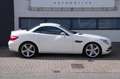 Mercedes-Benz SLK 250 Edition 1 |Nieuwstaat| Leder| Navi| Blanco - thumbnail 3