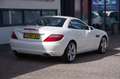 Mercedes-Benz SLK 250 Edition 1 |Nieuwstaat| Leder| Navi| Blanco - thumbnail 2