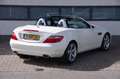 Mercedes-Benz SLK 250 Edition 1 |Nieuwstaat| Leder| Navi| Blanco - thumbnail 34