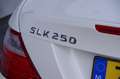 Mercedes-Benz SLK 250 Edition 1 |Nieuwstaat| Leder| Navi| Blanco - thumbnail 22