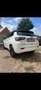 Jeep Compass 1.3 T4 4xe PLUG-IN HYBRID Automatik S Blanc - thumbnail 2