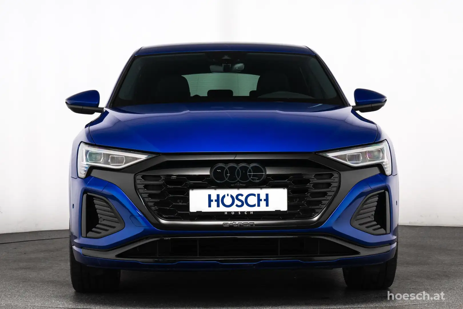 Audi Q8 e-tron e-tron 55 quattro 2x S-LINE 21er BLACK MATRIX -48% Blau - 2