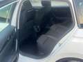 Skoda Octavia 2.0 TDI EVO SCR 150 CV DSG Wagon Style Bianco - thumbnail 14