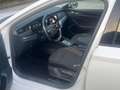 Skoda Octavia 2.0 TDI EVO SCR 150 CV DSG Wagon Style Bianco - thumbnail 13
