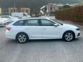 Skoda Octavia 2.0 TDI EVO SCR 150 CV DSG Wagon Style Bianco - thumbnail 8