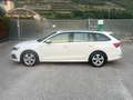 Skoda Octavia 2.0 TDI EVO SCR 150 CV DSG Wagon Style Bianco - thumbnail 4