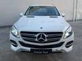Mercedes-Benz GLE 250 250 d Sport 4matic auto Bianco - thumbnail 2