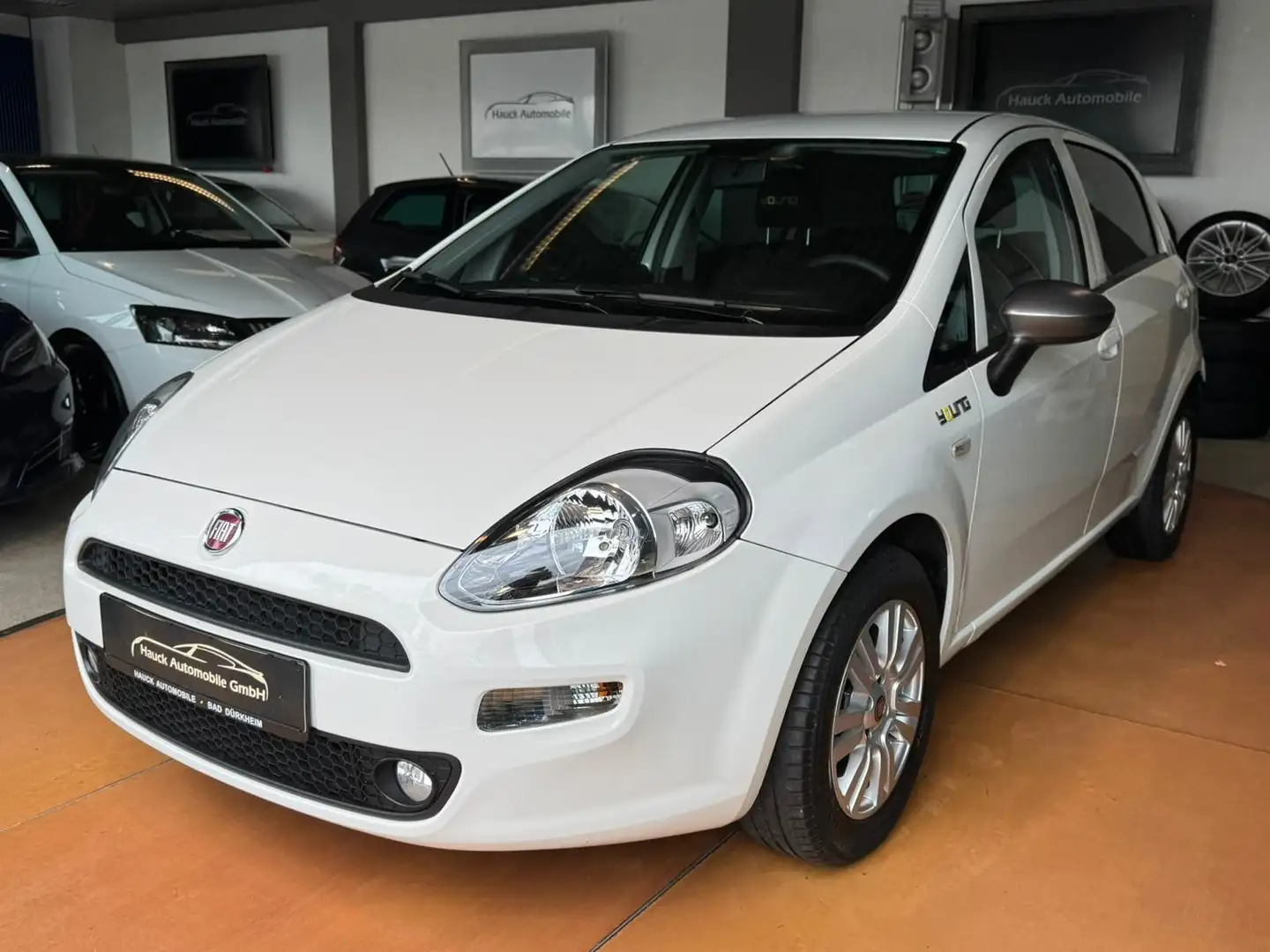 Fiat Punto Young / Schaltgetriebe / Klima - 1