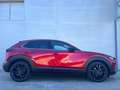 Mazda CX-30 2.0 e-Skyactiv-G Homura FWD 110kW Rojo - thumbnail 6