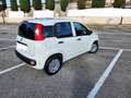Fiat Panda Van 2 posti 80cv Start & Stop Weiß - thumbnail 6