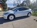 Tesla Model Y Long Range AWD 75kWh - thumbnail 5