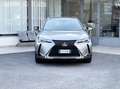 Lexus 250 2.0 Hybrid 152CV E6 Automatica - 2019 Срібний - thumbnail 2