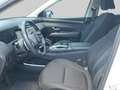 Hyundai TUCSON 1.6 T-GDI HEV Comfort Stoelverwarming | Apple Carp Blanc - thumbnail 12